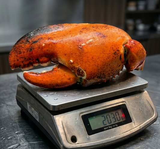 Giant kg-Grade Lobster Claw | Super Thick & Juicy | Premium Seafood Singapore - Only S$9.90